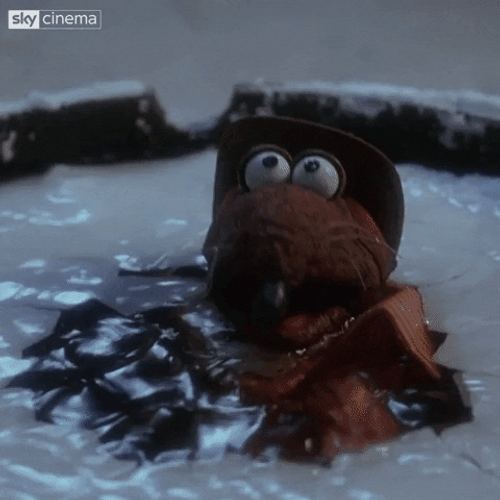 Buenas Noches Con Frio GIF