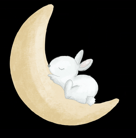 Buenas Noches Dulces Sueños 474 X 480 Gif GIF