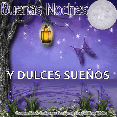 Buenas Noches Dulces Sueños 498 X 498 Gif GIF