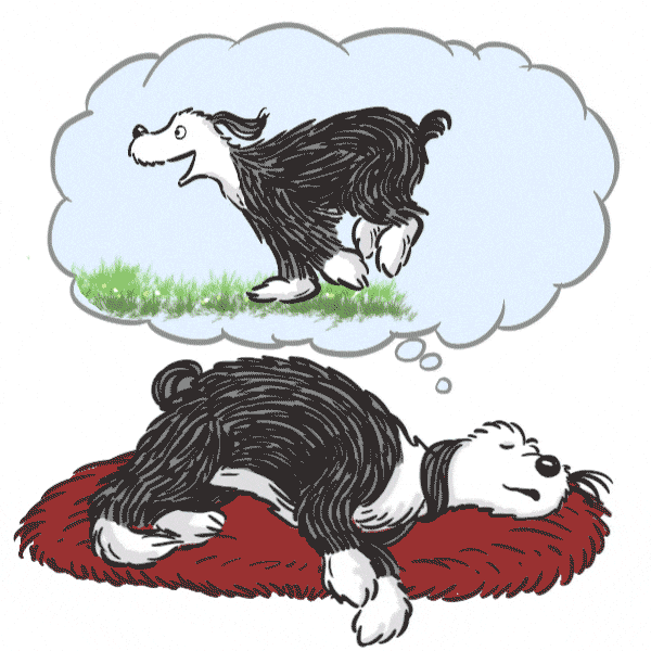 Buenas Noches Dulces Sueños 600 X 600 Gif GIF