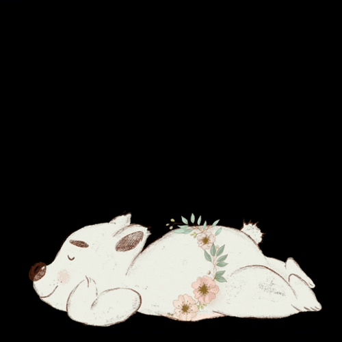 Buenas Noches Dulces Sueños GIF