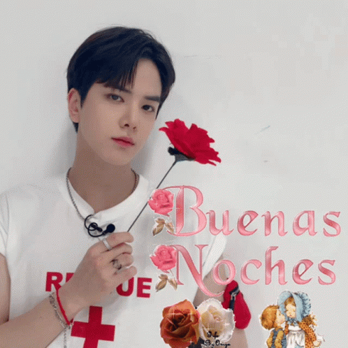 Buenas Noches Feliz Descanso 498 X 498 Gif GIF