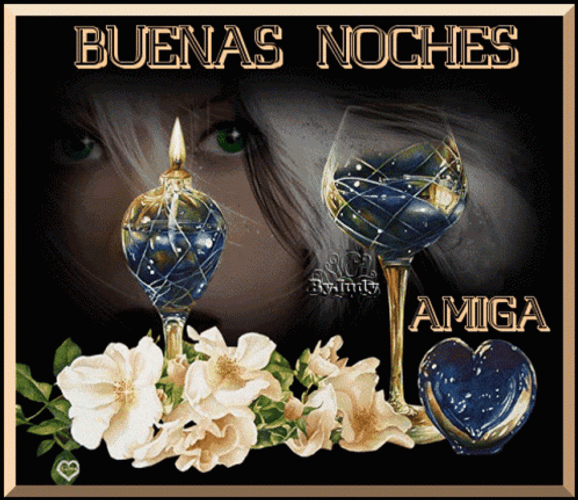 Buenas Noches Feliz Descanso GIF