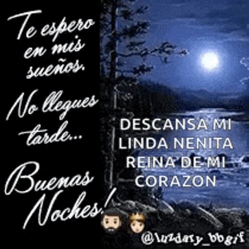 Buenas Noches Feliz Descanso GIF