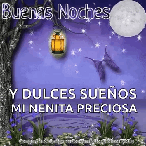 Buenas Noches Feliz Descanso GIF