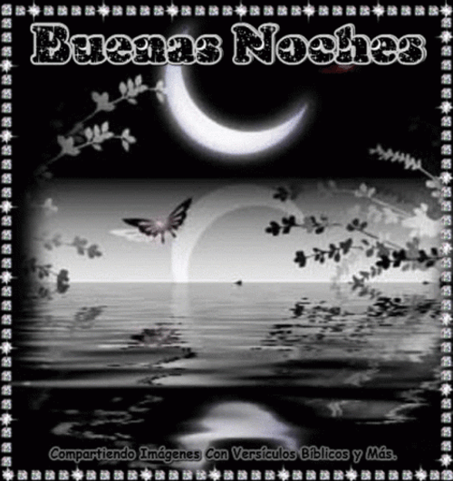 Buenas Noches Feliz Descanso GIF