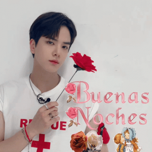 Buenas Noches Feliz Descanso GIF