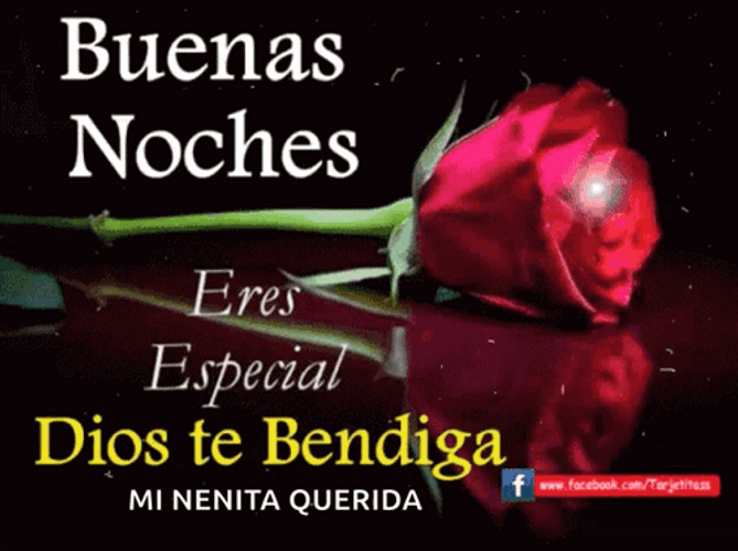 Buenas Noches Feliz Descanso GIF