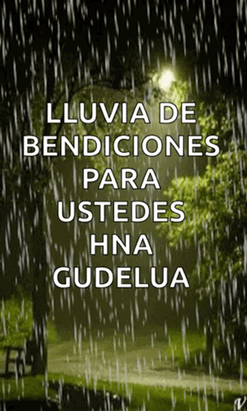 Buenas Noches Feliz Descanso GIF
