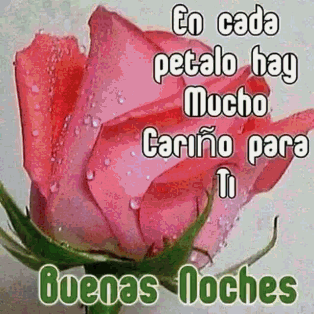 Buenas Noches Floral GIF