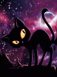 Buenas Noches Gatos 240 X 320 Gif GIF