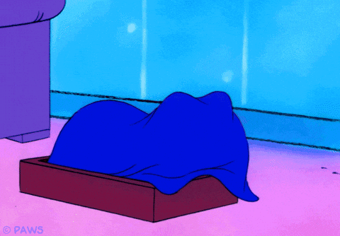 Buenas Noches Gatos 480 X 334 Gif GIF