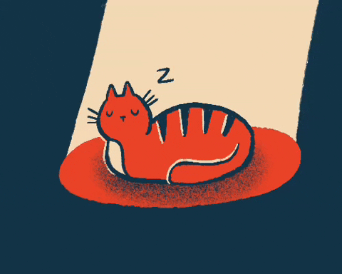Buenas Noches Gatos 480 X 384 Gif GIF