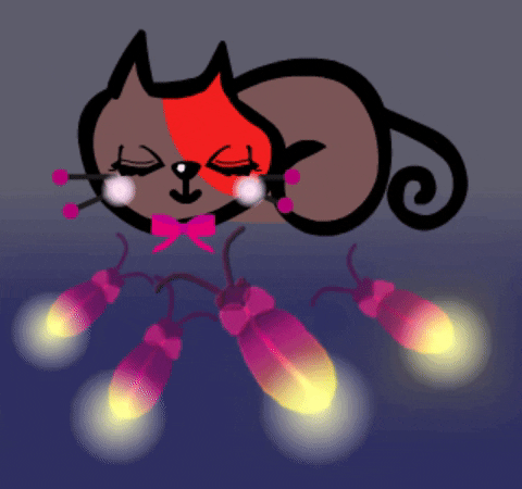 Buenas Noches Gatos 480 X 450 Gif GIF