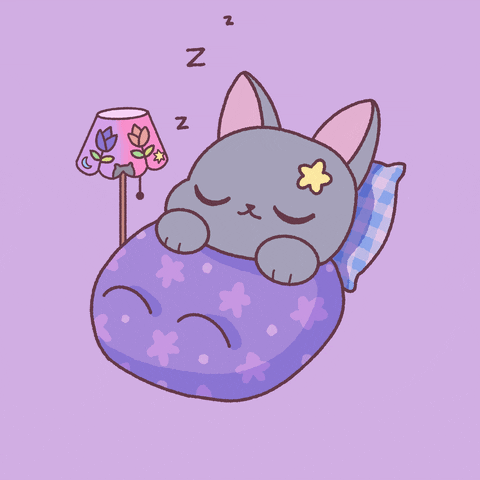 Buenas Noches Gatos 480 X 480 Gif GIF