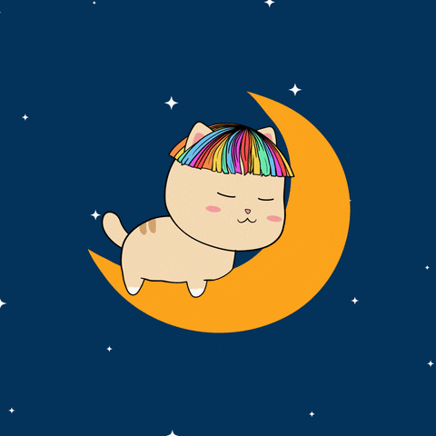 Buenas Noches Gatos 480 X 480 Gif GIF