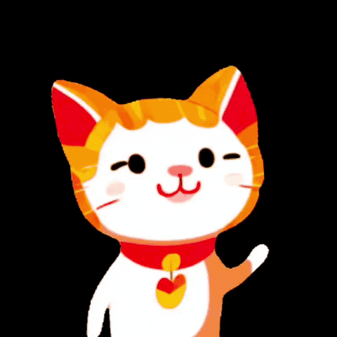 Buenas Noches Gatos 480 X 480 Gif GIF