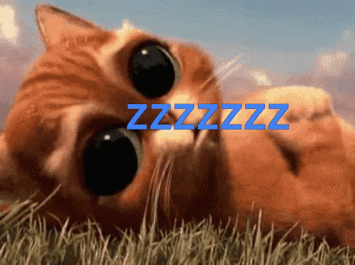 Buenas Noches Gatos 498 X 371 Gif GIF