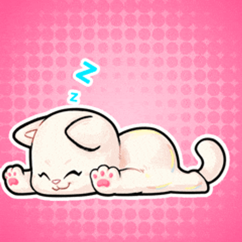 Buenas Noches Gatos GIF