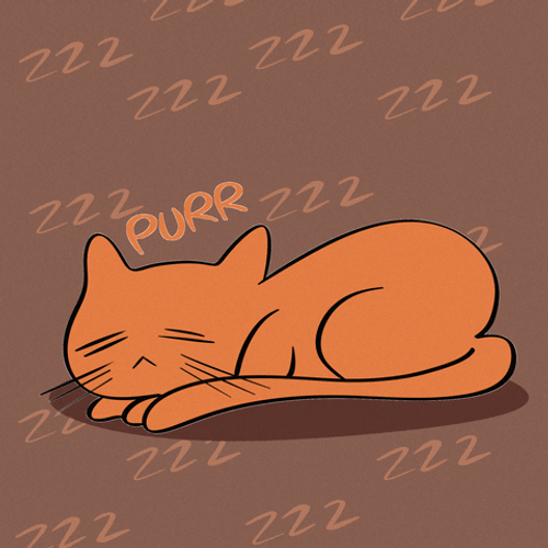 Buenas Noches Gatos GIF