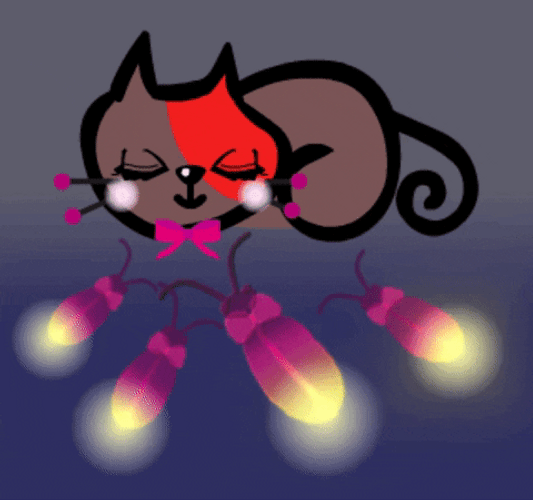 Buenas Noches Gatos GIF