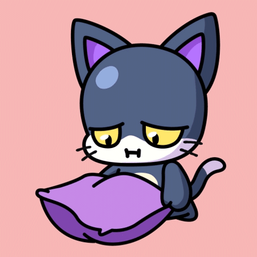 Buenas Noches Gatos GIF