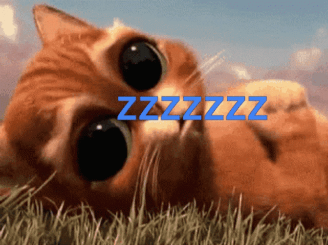 Buenas Noches Gatos GIF