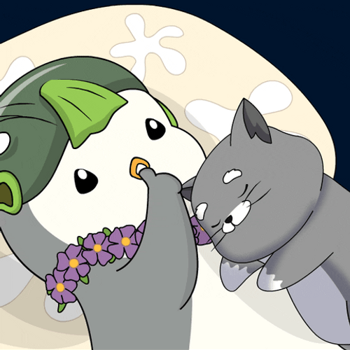Buenas Noches Gatos GIF