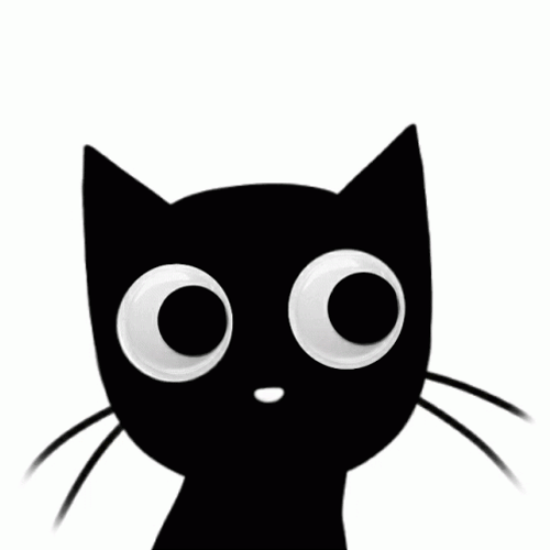 Buenas Noches Gatos GIF