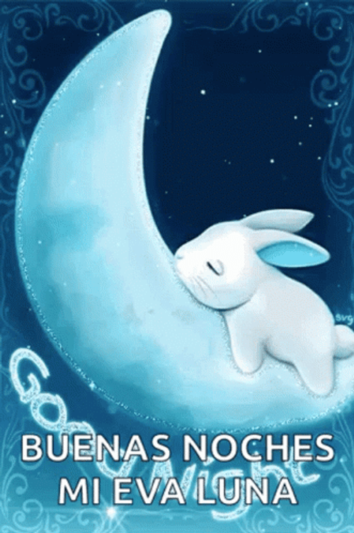 Buenas Noches Good Night Bunny GIF 