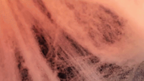 Buenas Noches Halloween 480 X 270 Gif GIF