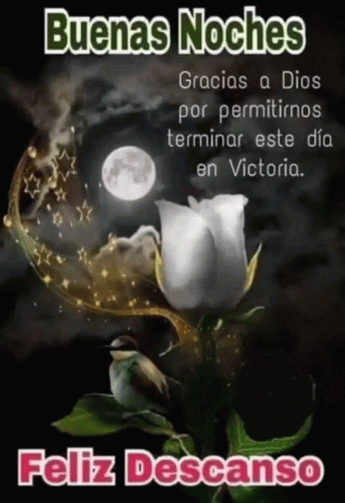 Buenas Noches Jueves GIF
