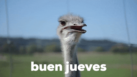 Buenas Noches Jueves 480 X 270 Gif GIF