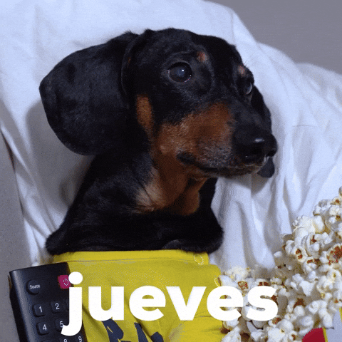 Buenas Noches Jueves 480 X 480 Gif GIF