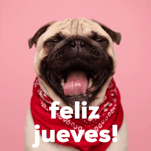 Buenas Noches Jueves GIF