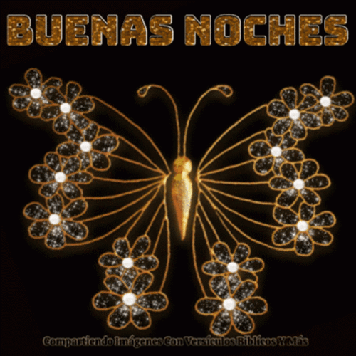 Buenas Noches Jueves GIF