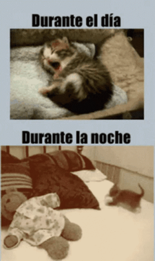 Buenas Noches Jueves GIF