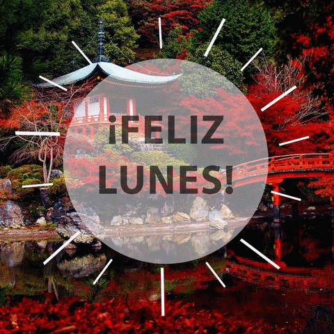 Buenas Noches Lunes 480 X 480 Gif GIF