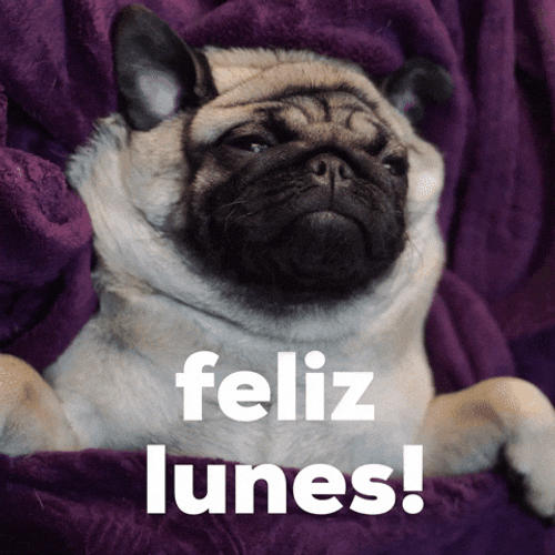 Buenas Noches Lunes GIF