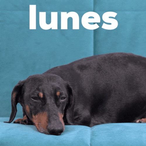 Buenas Noches Lunes GIF