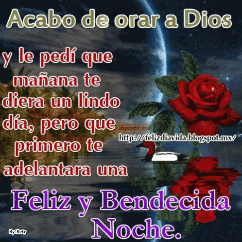 Buenas Noches Martes 498 X 498 Gif GIF