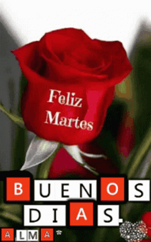 Buenas Noches Martes GIF