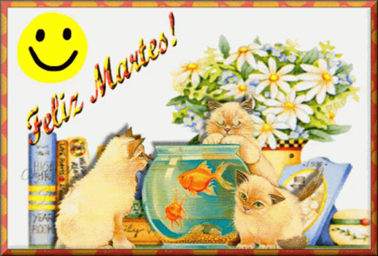 Buenas Noches Martes GIF