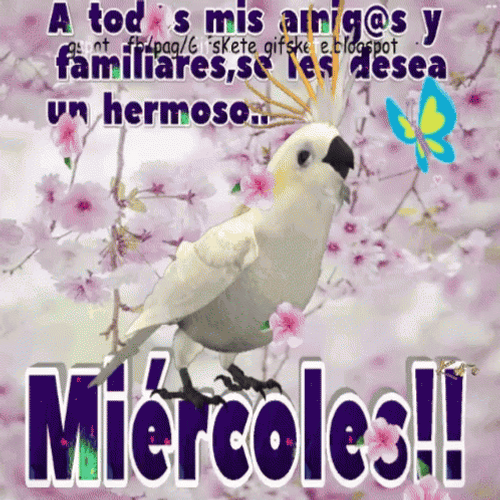 Buenas Noches Miercoles GIF