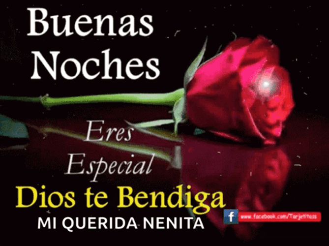 Buenas Noches Miercoles GIF