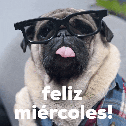 Buenas Noches Miercoles GIF