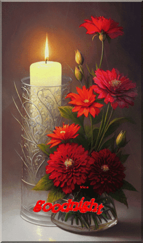 Buenas Noches Navideñas 295 X 498 Gif GIF