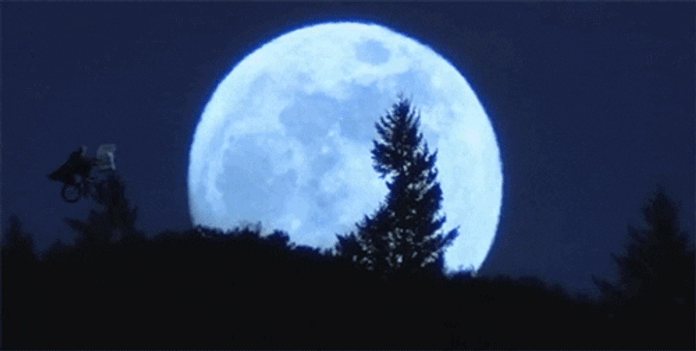 Buenas Noches Navideñas GIF