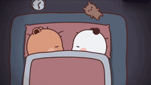 Buenas Noches Ositos 498 X 280 Gif GIF