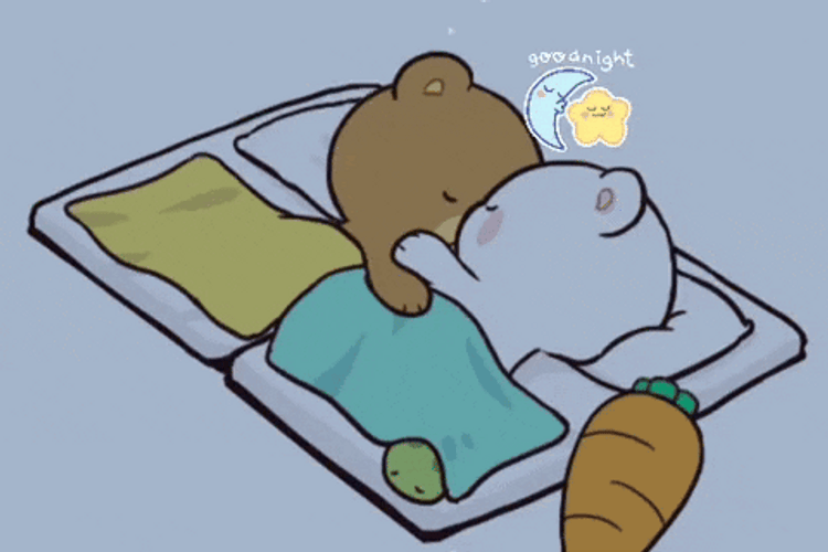 Buenas Noches Ositos GIF